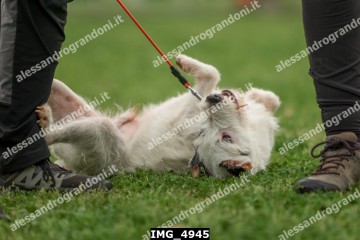 IMG_4945.jpg