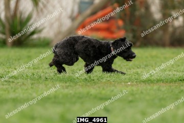 IMG_4961.jpg