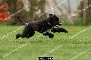 IMG_4963.jpg