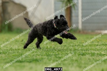 IMG_4972.jpg