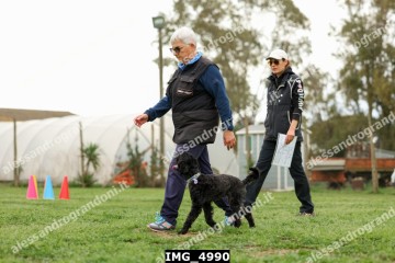 IMG_4990.jpg