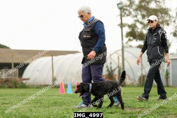 IMG_4997.jpg