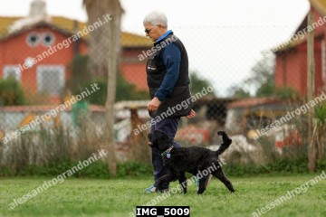 IMG_5009.jpg