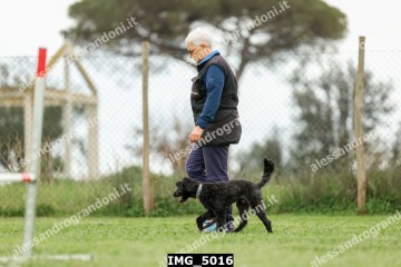 IMG_5016.jpg