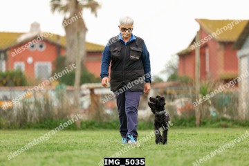 IMG_5035.jpg