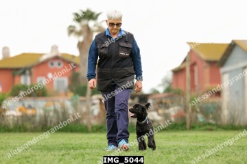 IMG_5044.jpg