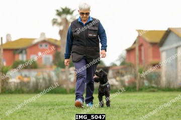 IMG_5047.jpg