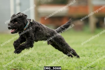 IMG_5068.jpg