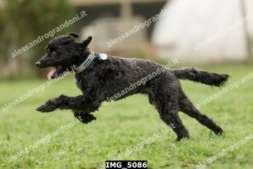 IMG_5086.jpg