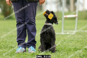 IMG_5115.jpg