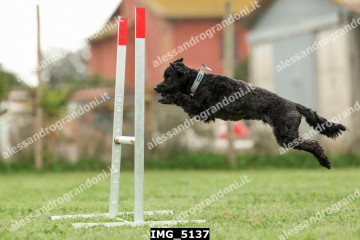 IMG_5137.jpg
