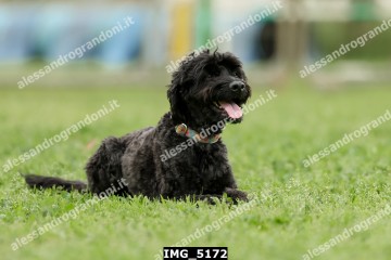IMG_5172.jpg