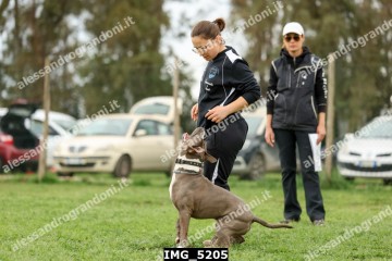 IMG_5205.jpg