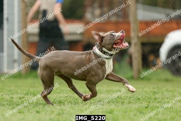 IMG_5220.jpg