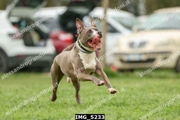 IMG_5233.jpg
