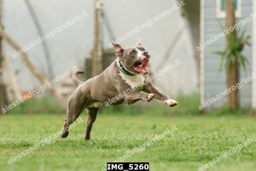 IMG_5260.jpg