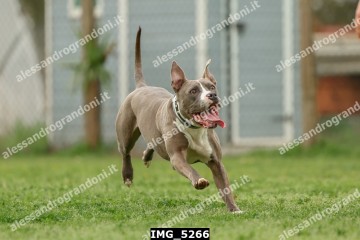 IMG_5266.jpg