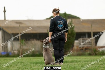 IMG_5330.jpg