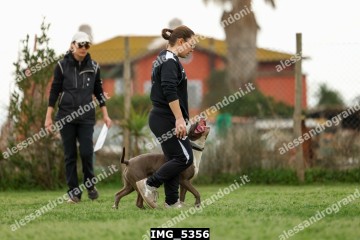 IMG_5356.jpg