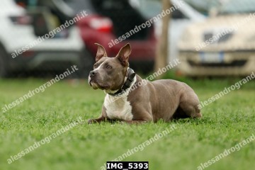 IMG_5393.jpg