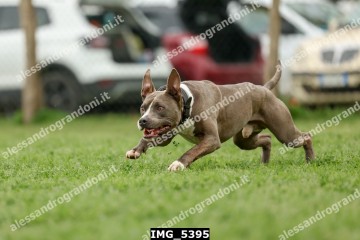 IMG_5395.jpg