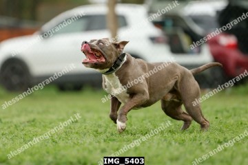 IMG_5403.jpg