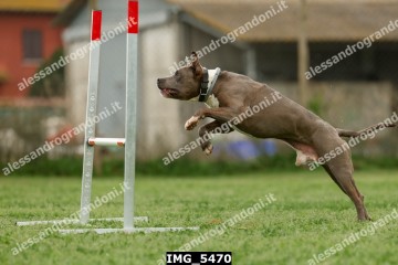 IMG_5470.jpg