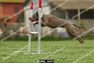 IMG_5472.jpg