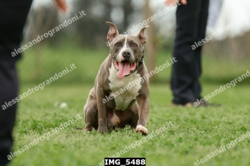 IMG_5488.jpg