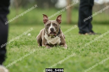 IMG_5496.jpg