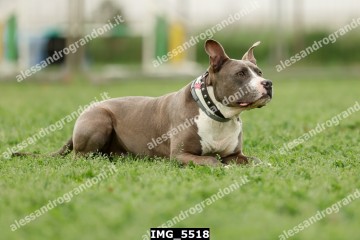 IMG_5518.jpg
