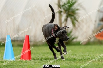 IMG_5566.jpg