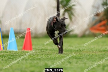 IMG_5579.jpg