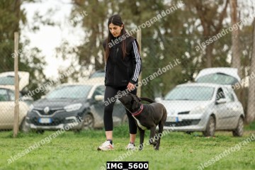IMG_5600.jpg