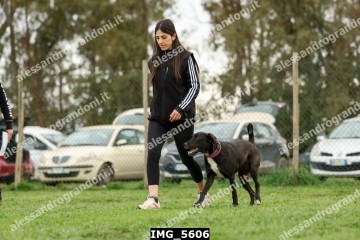 IMG_5606.jpg