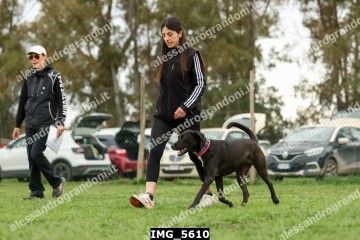 IMG_5610.jpg