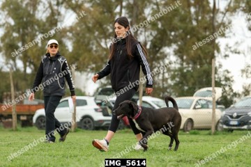 IMG_5614.jpg
