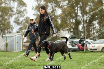 IMG_5623.jpg