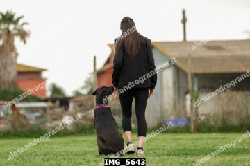 IMG_5643.jpg