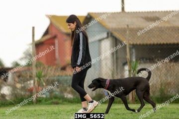 IMG_5652.jpg