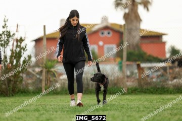 IMG_5672.jpg