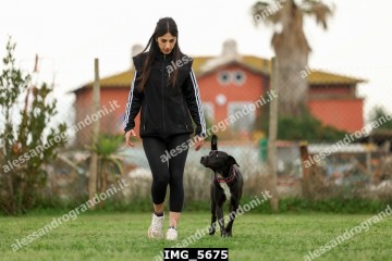 IMG_5675.jpg