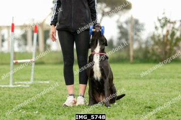 IMG_5748.jpg