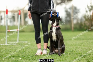 IMG_5760.jpg