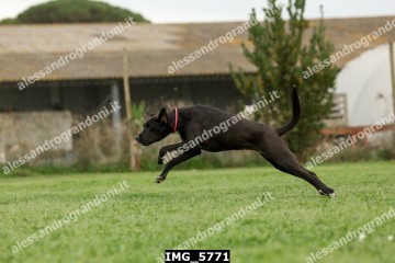 IMG_5771.jpg