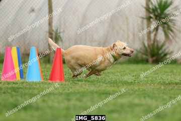 IMG_5836.jpg