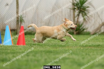 IMG_5838.jpg