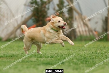 IMG_5846.jpg