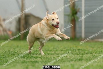 IMG_5858.jpg