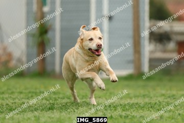 IMG_5869.jpg